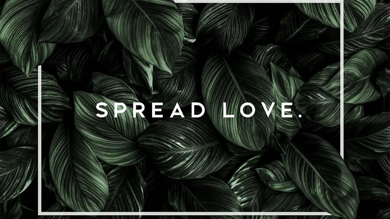 Organic soap brand Shopify launch